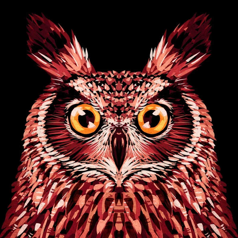 Bird Series Owl 2