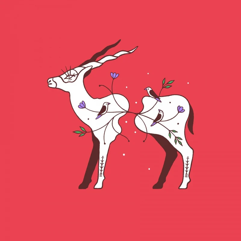 Connecting Wildlife Antelope