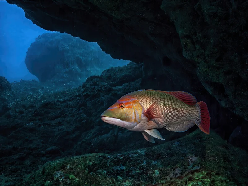 In an Underwater Cave