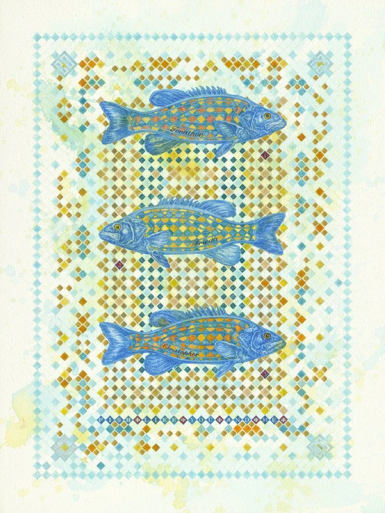 Fish Like You and Me