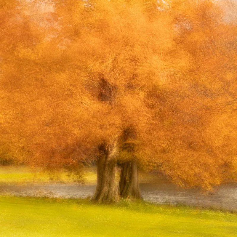 Painting mood in orange