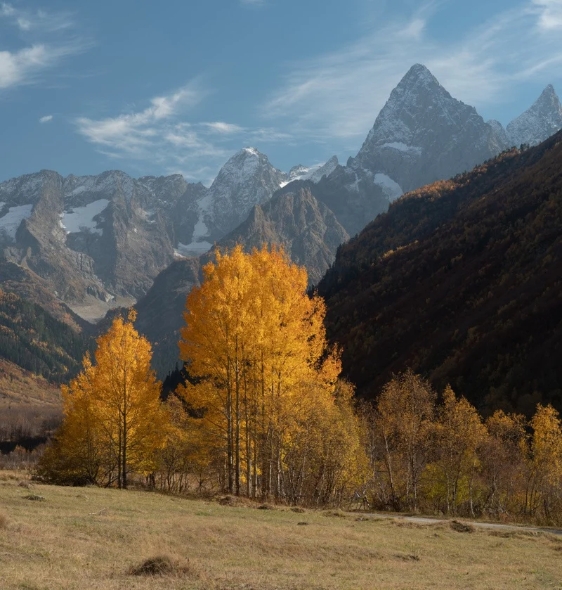 CAUCASIAN AUTUMN