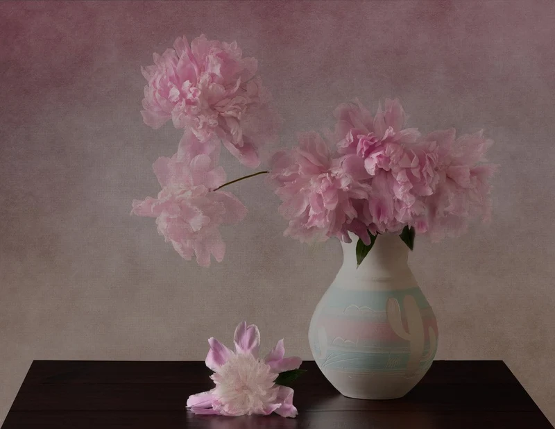 Peonies Still Life