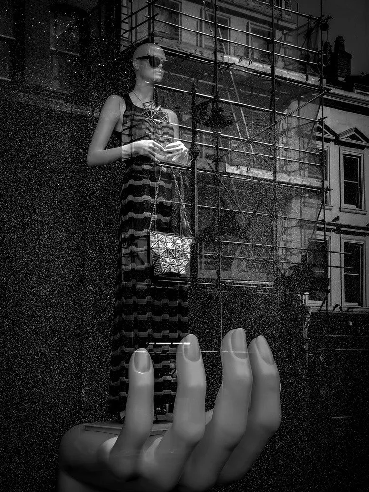 A bird in the hand.