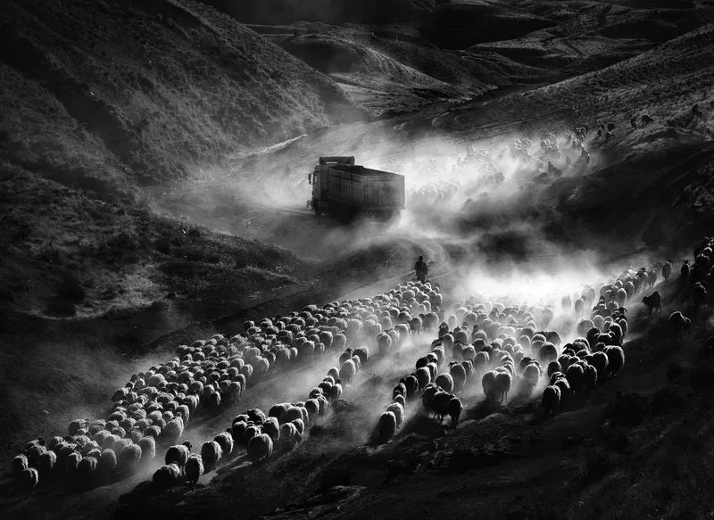 the way