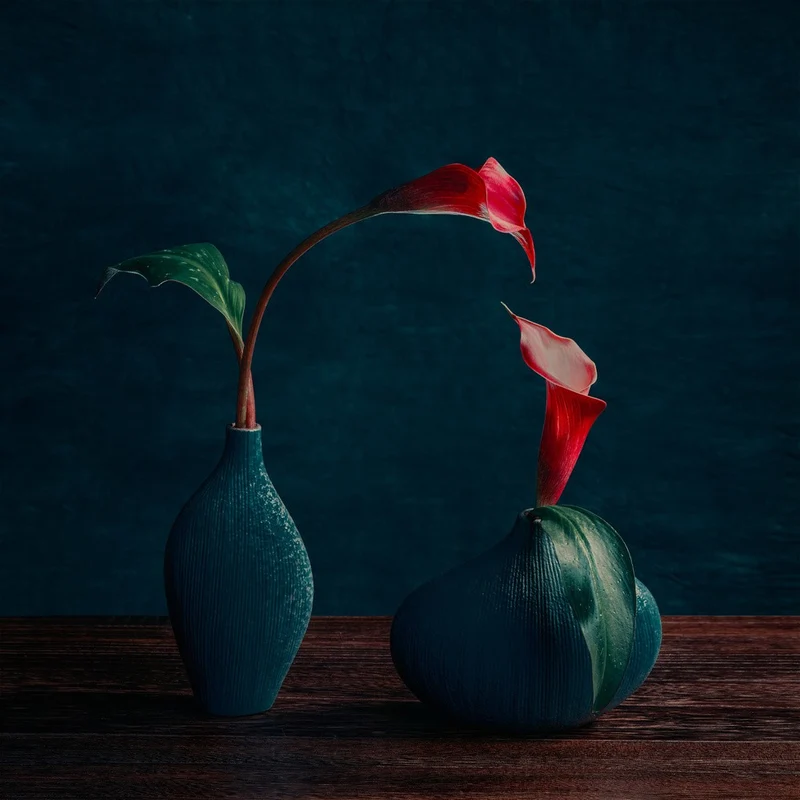 Red Calla Lilies