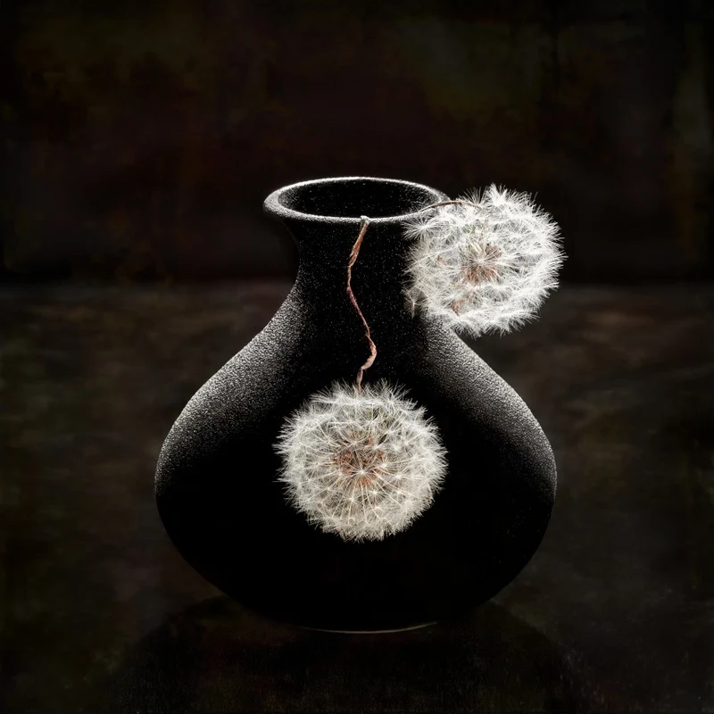 Plush Balls
