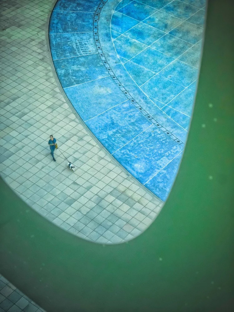 Curve