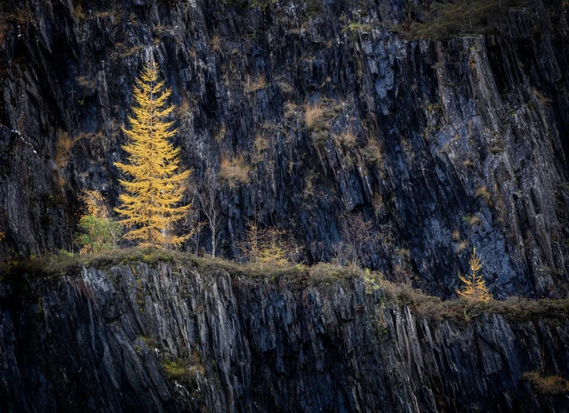 Autumn colour