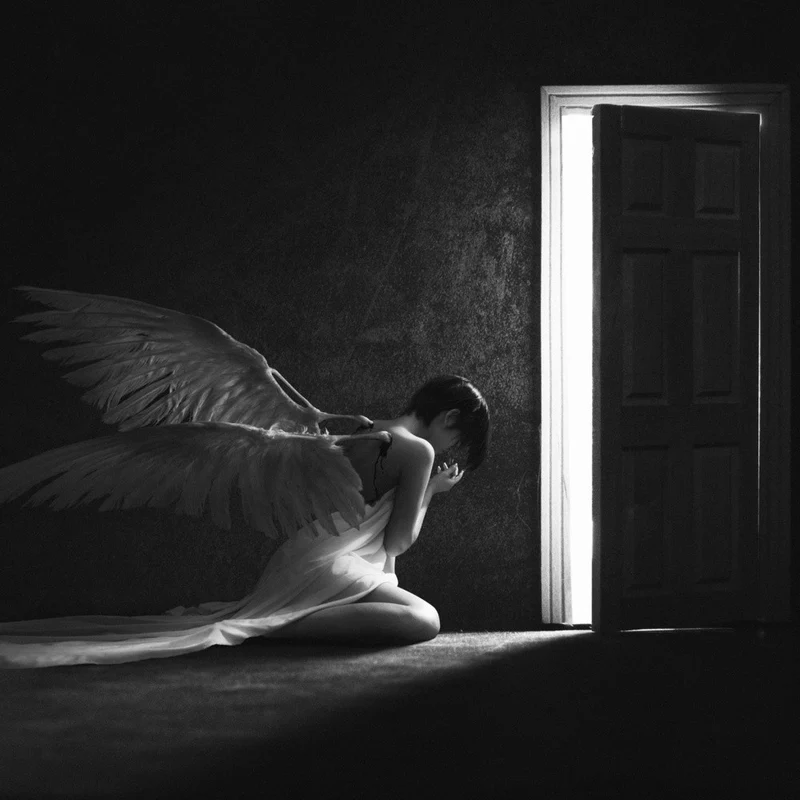 Wings