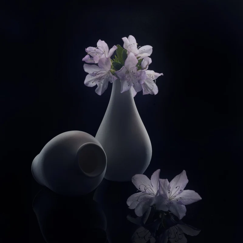 Flowers in the light