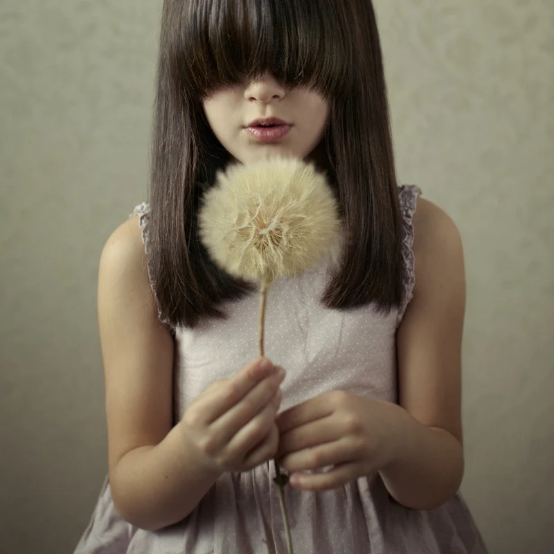 Secret Wishes