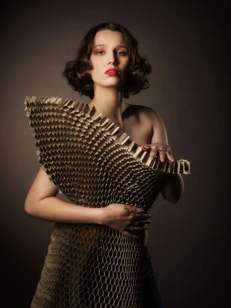 The Cardboard Dress