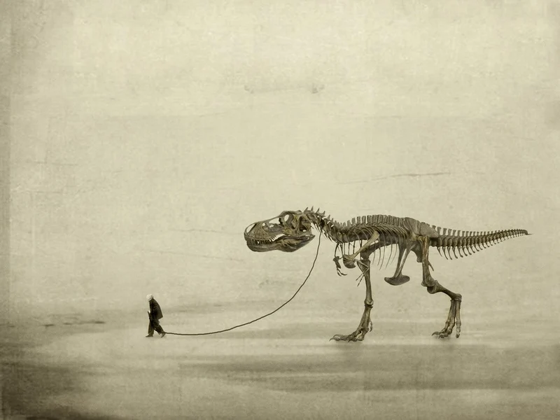 the walk