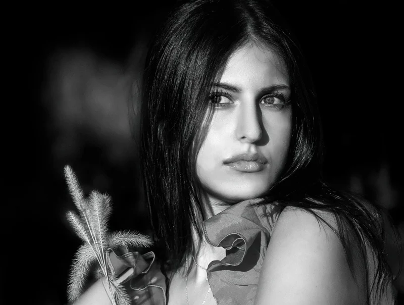 The Beautiful Girl