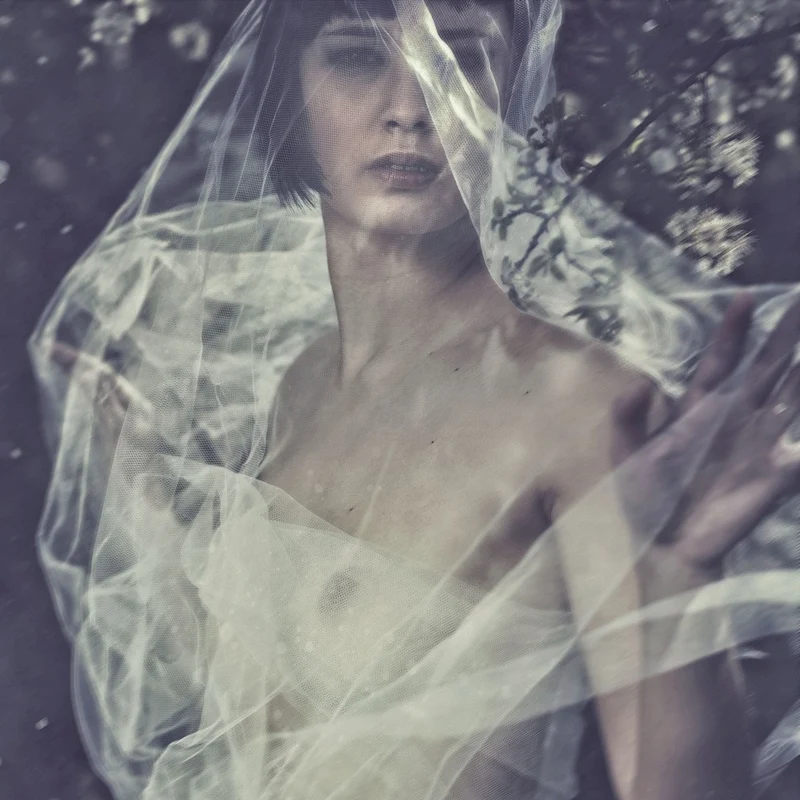 Veiled Spring