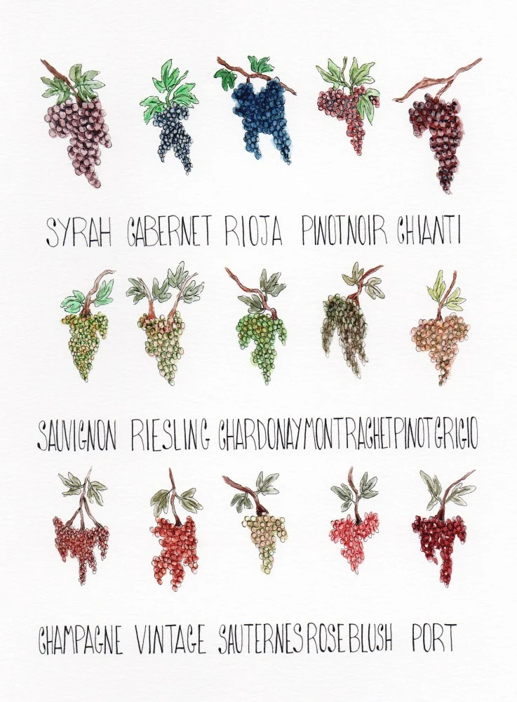 Grape Varietals Chart