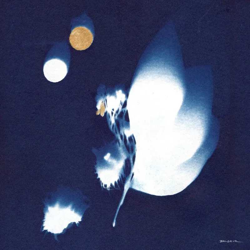 Mouving Moon
