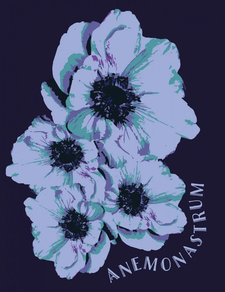 Anemonastrum
