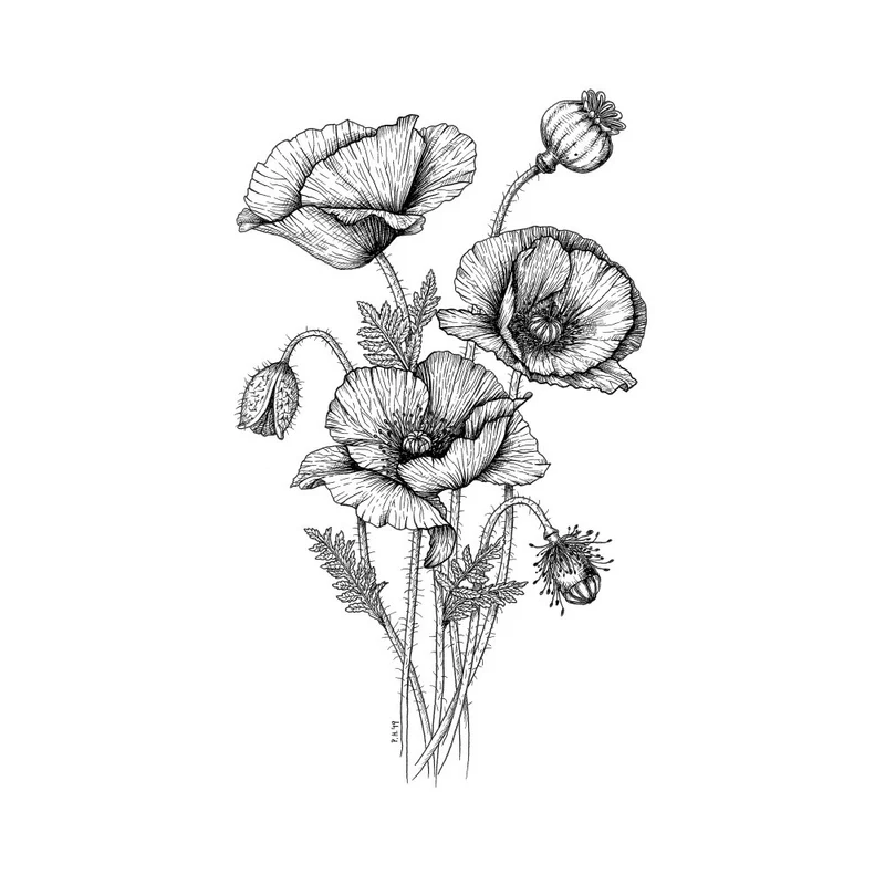 Poppies
