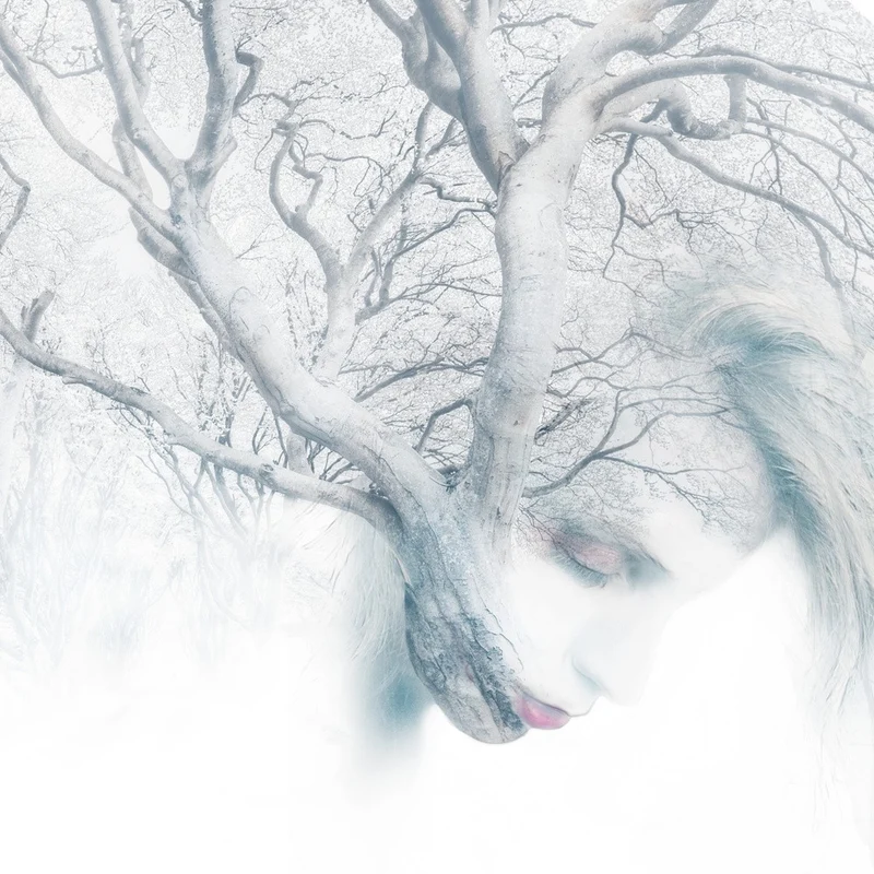 The tree