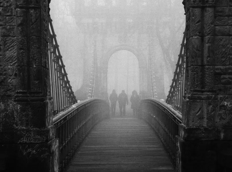 foggy day(they)