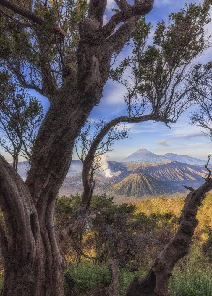 Mount Bromo 1