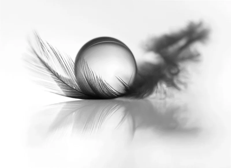 Lightness
