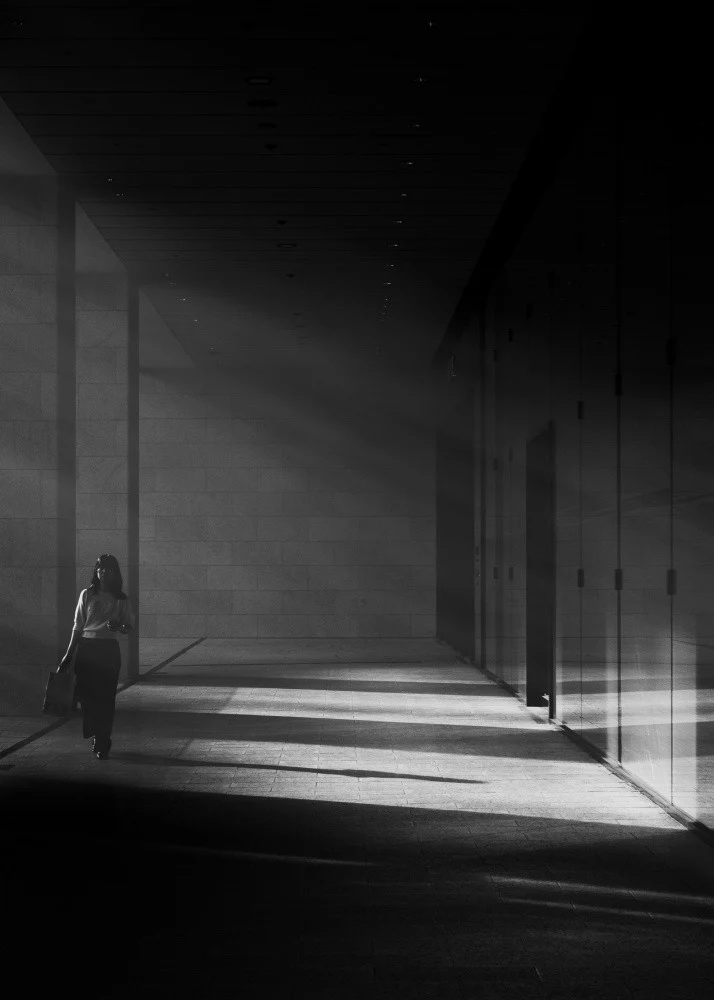 Where light meets shadow
