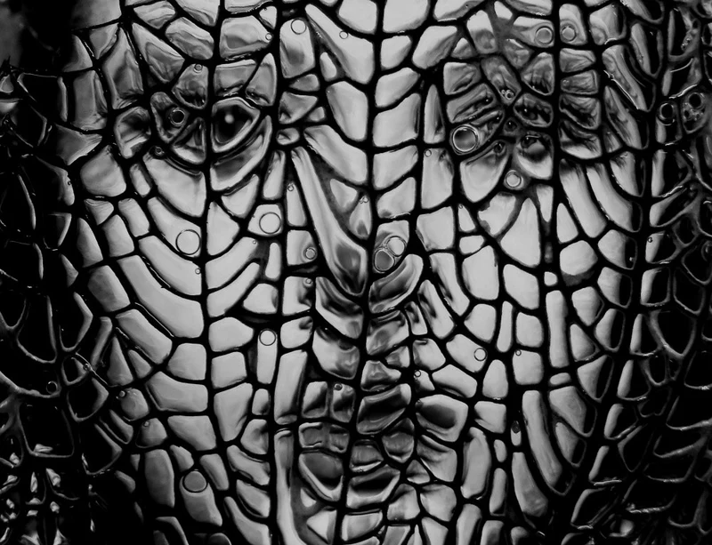 Portrait Abstract