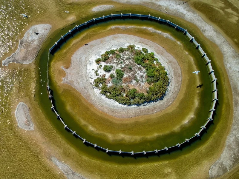 Above the salt marshes