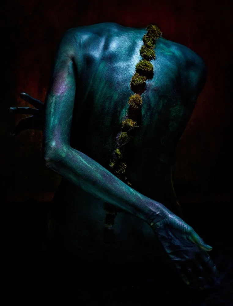Symbiosis II