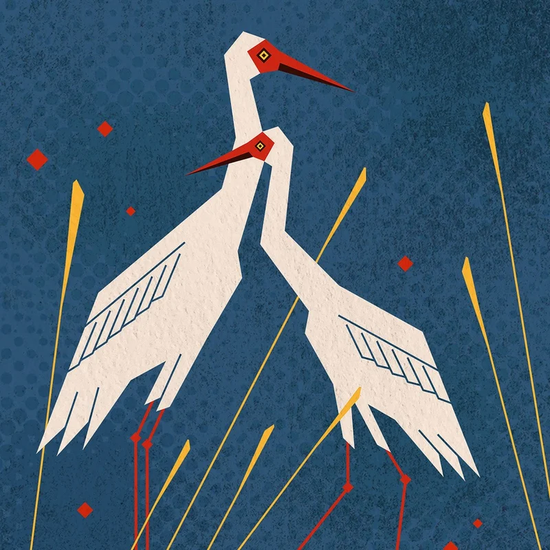 Bird Series Geometry Crane