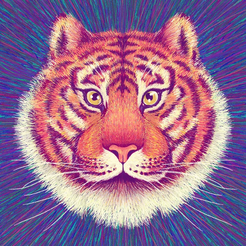 Animal Face Tiger
