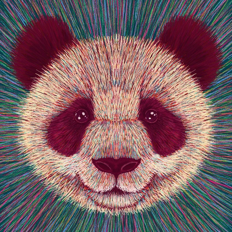 Animal Face Panda