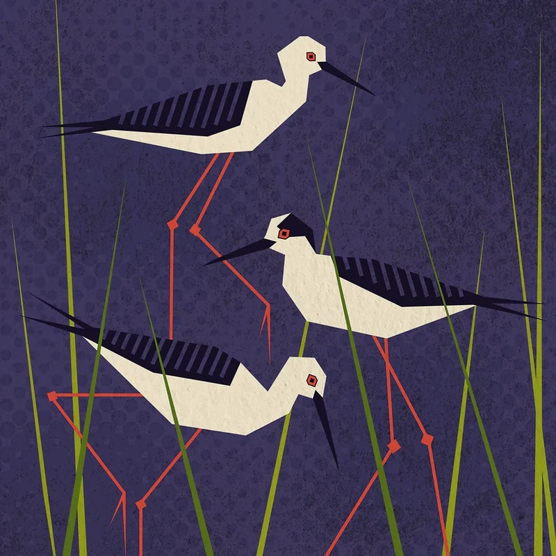 Bird Series Geometry Stilt
