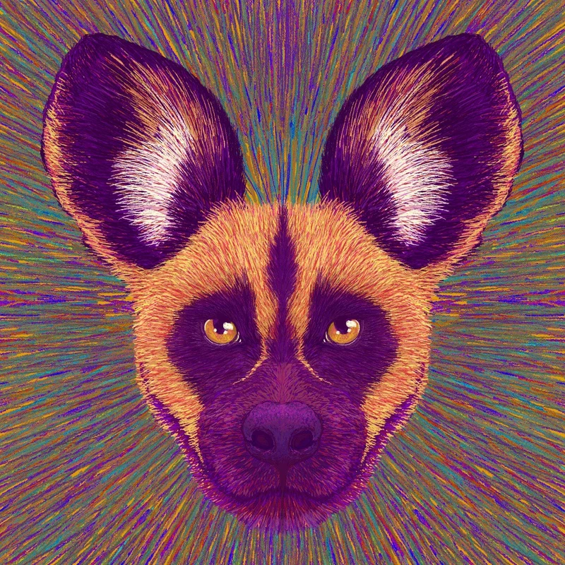 Animal Face Wild Dog