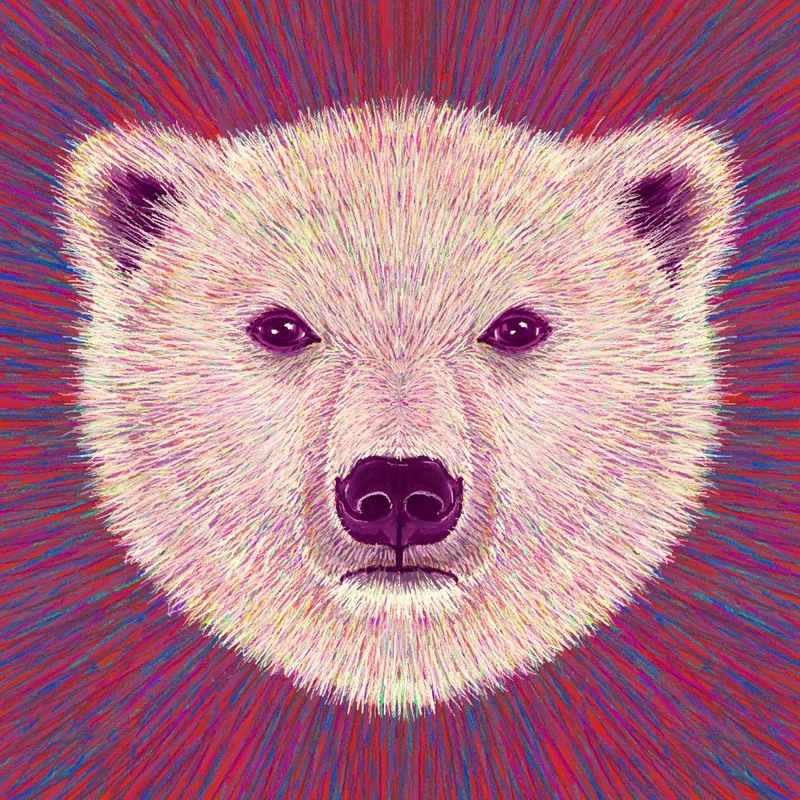 Animal Face Polar Bear