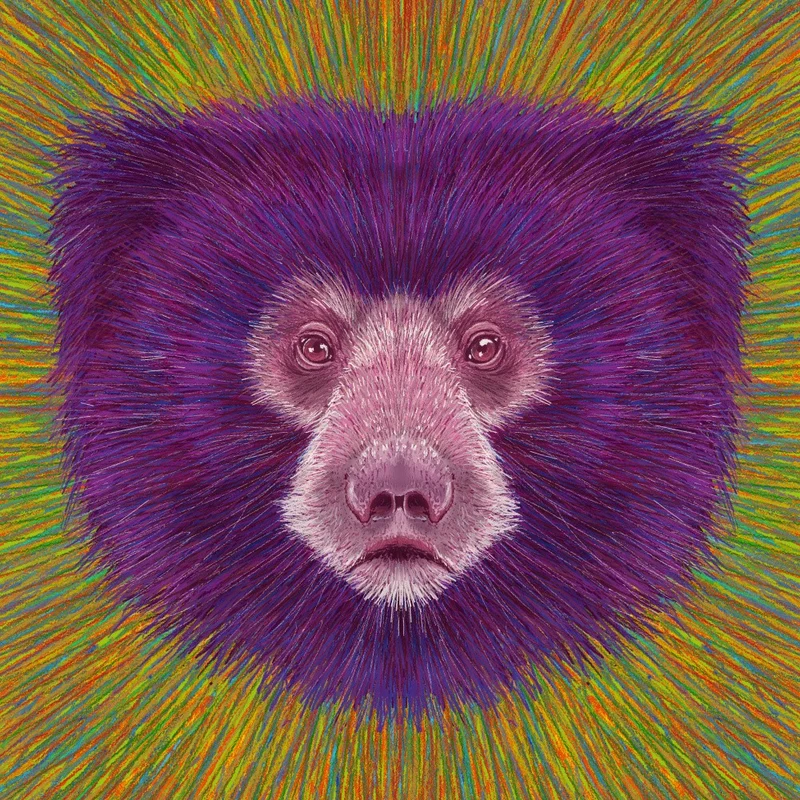Animal Face Sloth Bear