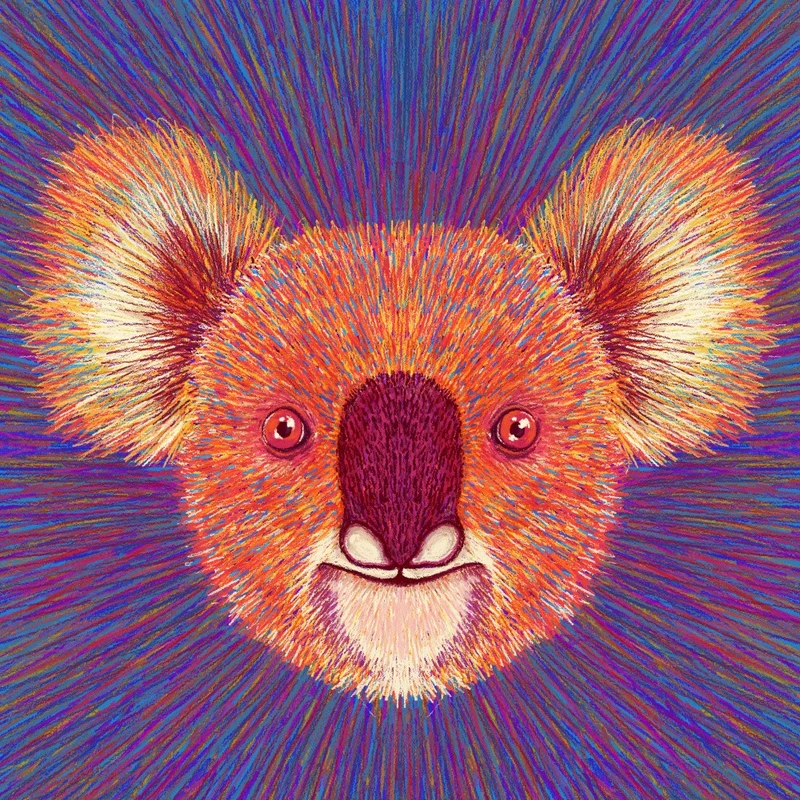 Animal Face Koala