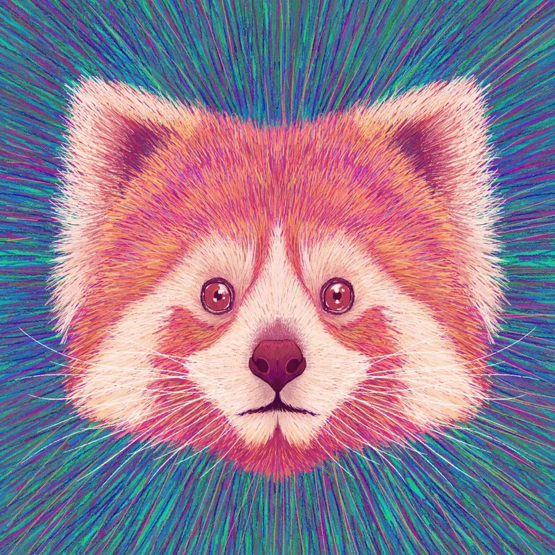 Animal Face Red Panda
