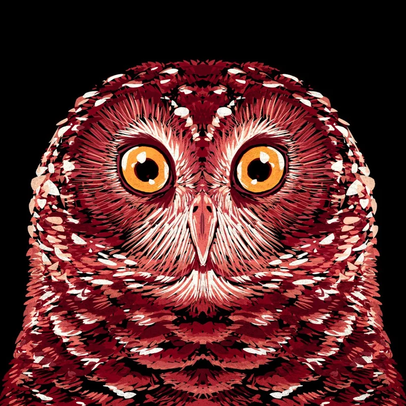 Bird Series Owl 1