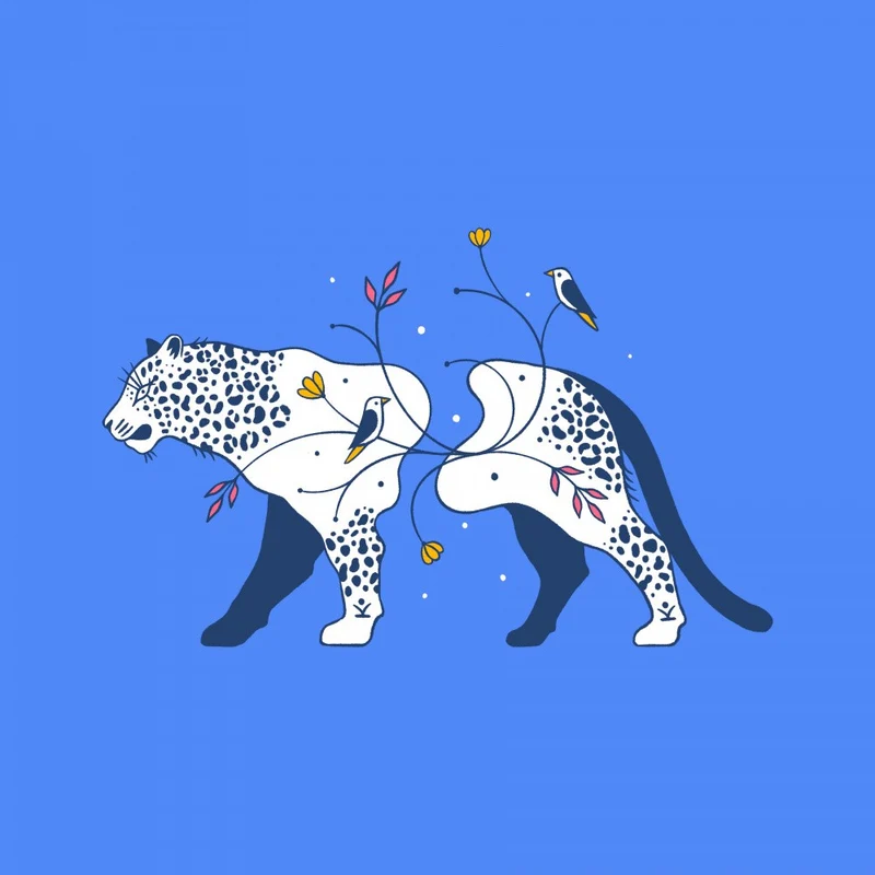 Connecting Wildlife Leopard