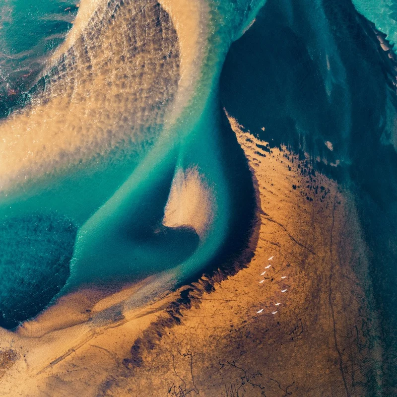 The nature abstract