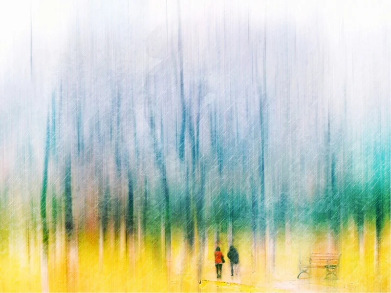accompany
