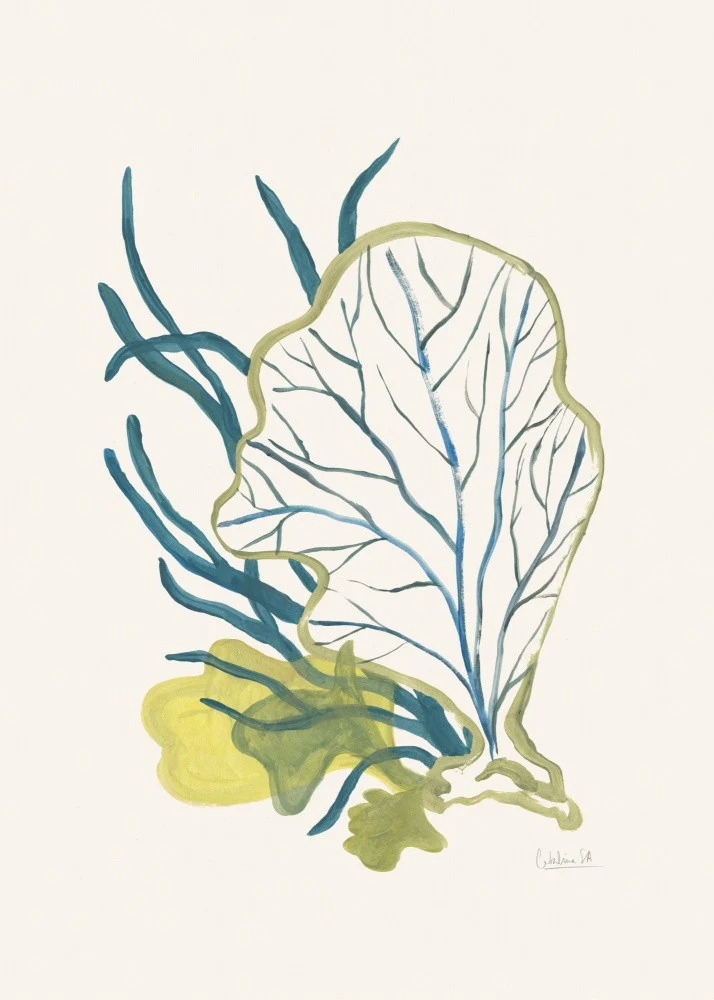 Algae No1