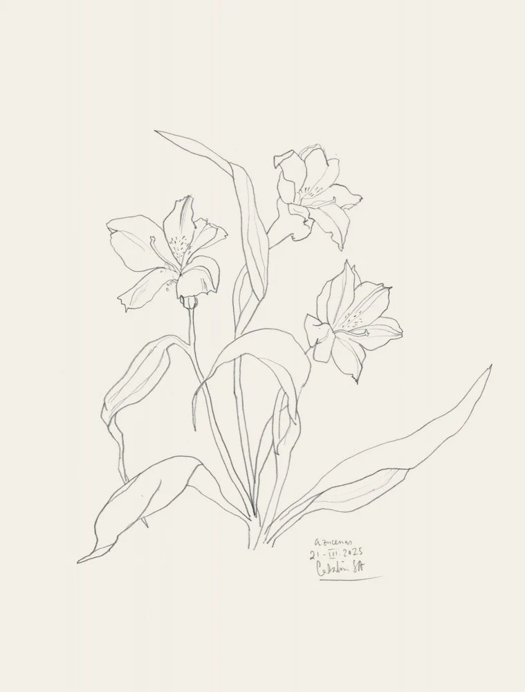 Floral Line Elegance