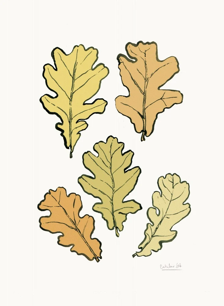 Oak leaves