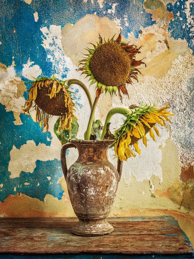 Stage REM ~Retro Still Life~