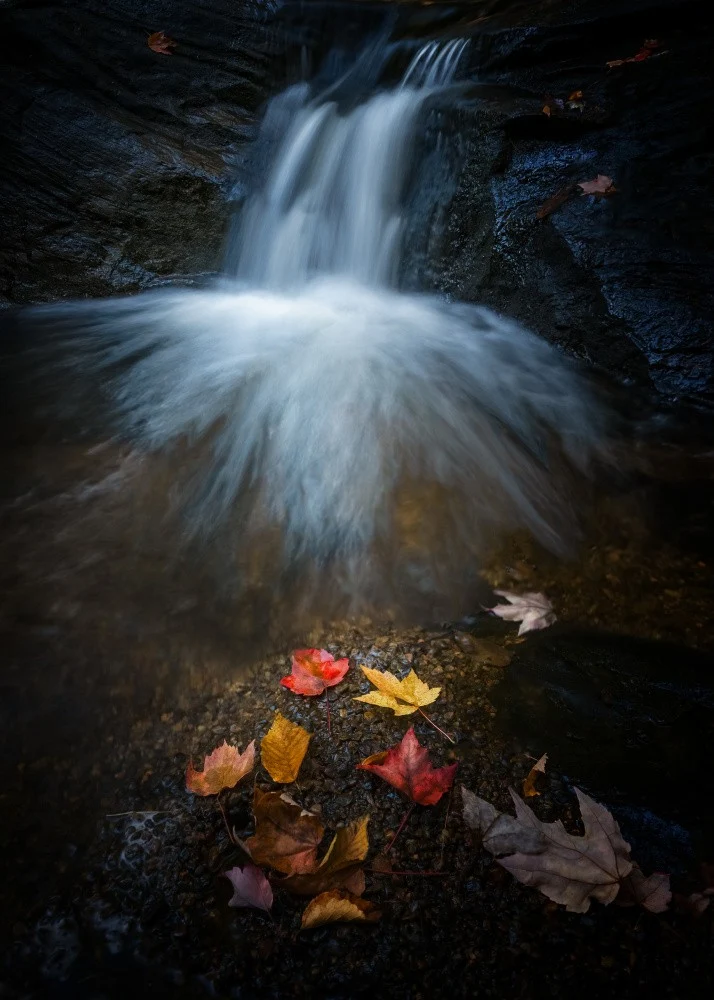 Autumn magic